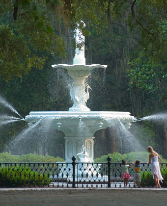 Savannah fountain